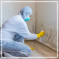 Fachkraft in Schutzkleidung beseitigt Schimmel an einer Wand